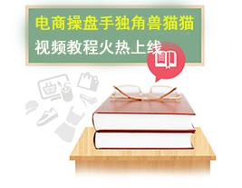 电商独角兽猫猫视频教程